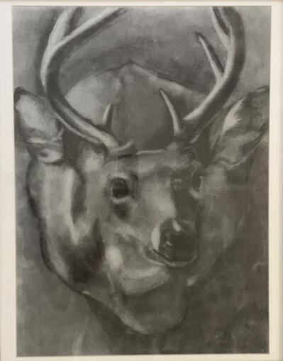Deer Head