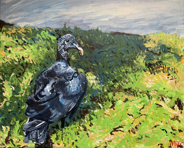 Vulture