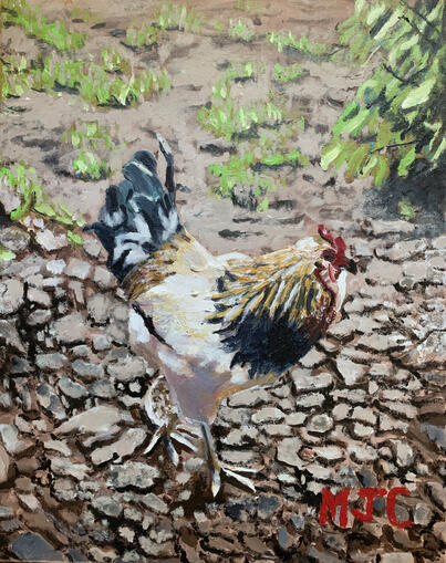 Rooster