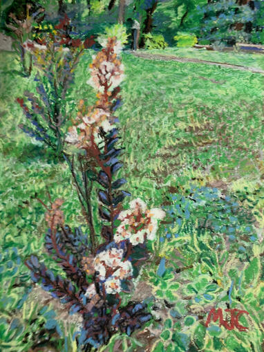 Flower Bush