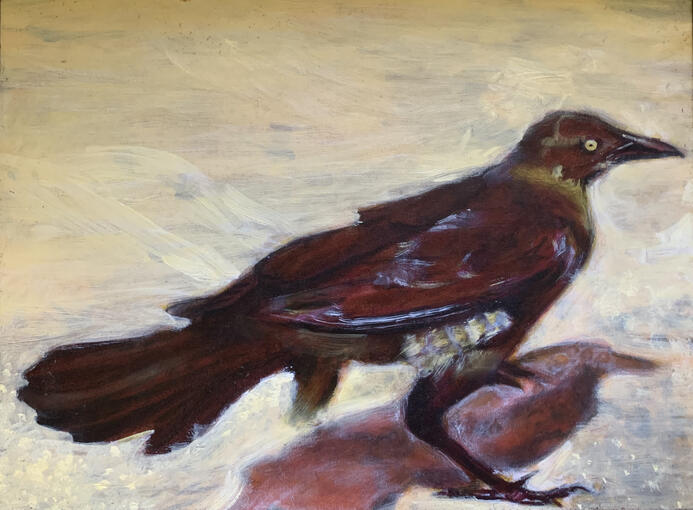 Beach Bird